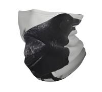 QGGHNISD Hibou Oiseaux Tour de Cou Tour de Cou pour Homme/Femme, Élastique Chaud Coupe-Vent Masque Écharpe Sport de Plein Air Moto Course Cyclisme, Oiseaux corbeaux, Taille unique