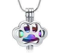 QGJNSGC Collier funéraire pour cendres d'animaux de compagnie avec motif de patte de chien/chat - Urne médaillon souvenir avec étui mini - Bijou cinéraire pour femmes/hommes, Unisexe, Acier inoxydable