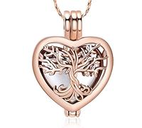 QGJNSGC Collier urne arbre de vie pour cendres en forme de cœur - Bijoux commémoratifs pour homme et femme - Médaillon commémoratif pour animal domestique, taille unique, Acier inoxydable, Zircone