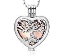QGJNSGC Collier urne arbre de vie pour cendres en forme de cœur - Bijoux commémoratifs pour homme et femme - Médaillon commémoratif pour animal domestique, taille unique, Acier inoxydable, Zircone