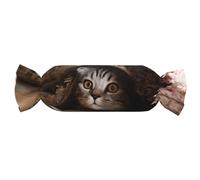 QGWDYYJQ Oreiller cylindrique imprimé chat sous couverture