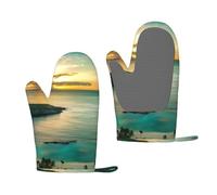 QGWDYYJQ Sunrise Over Hanauma Bay Oahu Hawaï Gants de cuisine en silicone imprimés