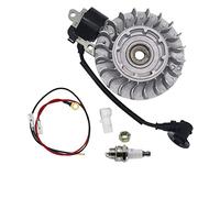 QHALEN Kit de bobine de volant d'inertie avec fiche NGK pour tronçonneuse Stihl MS660 066 1122 400 1217