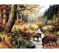 QHDXL Peinture par Numero Adulte Sanglier Cerf Peinture à l'huile de Bricolage DIY Peindre par Nombre pour Enfants Seniors Débutan Chiffres Brosses et Peintures 40x50cm sans Cadre