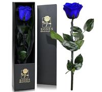 QHHENTOO Rose Infinity dans une boîte cadeau, rose éternelle avec tige, cadeaux pour femme, véritables roses préservées, pour maman, femme, petite amie, pour anniversaire, Saint-Valentin, Noël, fête