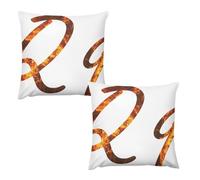 QHousse De Coussin 24 "x24 Lot De 2 | en Tissu Épais Aspect Lin, Doux Et Décoratif pour Canapé Et Salon - Style Bohème Chic, Idéal pour Décoration Chambre, Beige Crème