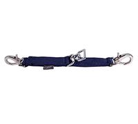 QHP Alliance de Longe pour Cheval