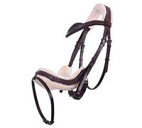 Bridon équitation QHP Ontario Marron Cob