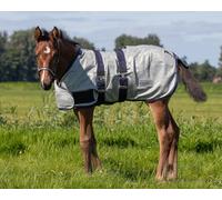 QHP Couverture anti-mouches pour poulain - Argent - Polyester - Classique - Couverture anti-mouches pour poulain - Vêtements pour animaux