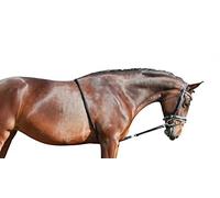 QHP Enrênement pour Cheval pour Aide à la Longe