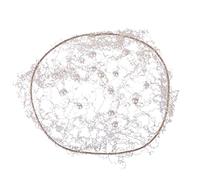 QHP - Filet à cheveux invisible perle - Accessoire cheveux - Femmes adultes - Femmes - Filet à cheveux