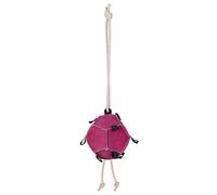 QHP Horse Toy Ball Jouet pour chevaux (rose)