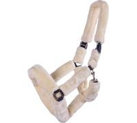 QHP Licol Alaska Crème - Cob