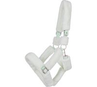 QHP Licol Alaska Vert Menthe - Cob