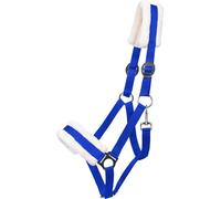 QHP Licol Cali, Bleu Cobalt - Mini Shetty