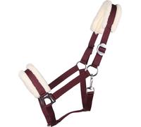 QHP Licol Cali, Bordeaux - Pur sang