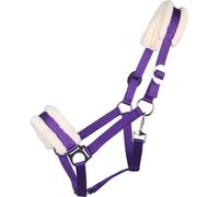 QHP Licol Cali, Passion Flower - Mini Shetty