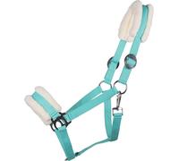 QHP Licol Cali, Turquoise - Mini Shetty