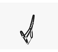 Licol pour cheval de trait QHP Deluxe Noir XXFull