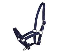 QHP Licol en nylon pour poulain - Réglable sur 3 positions - Bleu foncé