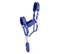 QHP Licol et Longe Dolci - Mid Blue - COB