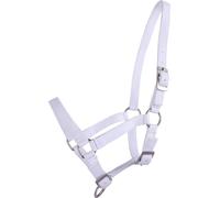 QHP Licol pour Poulain Blanc - Poulain Shetty