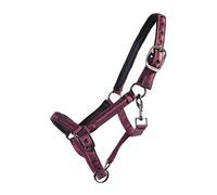 QHP Licol pour Poulain Lily