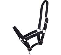 QHP Licol pour Poulain Noir - Poulain Pony