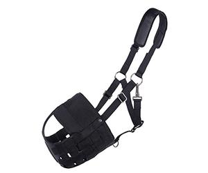 QHP Museau de pâturage avec narines Pony Noir