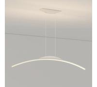 QHQQXN Jewelry Linear Pendant Light LED Chandelier Ceiling Fixture Arc-Shaped Hanging Lamp, Modern Pendant Lights Kitchen Island Lighting Long Dining Table Lamps Over Table, 3 Color Mode LWX