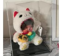QHZYMX Vitrine Acrylique Transparent Boîte Présentation Haute (8, 10, 12 Pouces, 16, 18, 20 Pouces), Bacs Rangement Robustes en Acrylique Transparent(20X25X20(8X10X8IN))