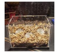 QHZYMX Vitrine Acrylique Transparent Grande Vitrine en Acrylique Transparent pour Objets De Collection/Souvenirs/Basket-Ball, Boîtes De Rangement en Acrylique Empilables(70x70x60cm(28x28x24 in))