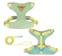 QIANDW Harnais pour chien - Harnais anti-rupture - Laisse de promenade pour petit chien - Vert - S
