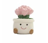 Qianly 5 Pièces Plante en Pot Miniature Mignon Petit Contenant de Fleurs Finition Soignée Plante Miniature Multicolore, Tulip