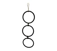 Qianly Cerceaux pour Serpents, Jouet d'escalade, Accessoires pour Reptiles, Noir
