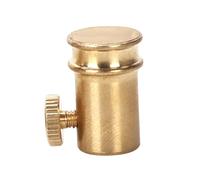 Qianly Embout de Fixation pour Diapason, Conception Générique à Vis, Multifonctionnel pour L'entraînement, Compatible avec Les Diapasons de 6 Mm, or 1.5x2.2x1.4cm
