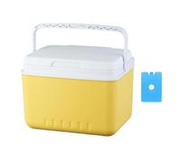Qianly Glacière Isotherme pour Camping, étui de Rangement Polyvalent, Portable et Rigide, pour Camping, Barbecue, Pêche, 5l
