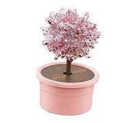 Qianly Kit de Croissance de Cristaux Jouet Éducatif Projet Science DIY Expérience Arbre Cristal Décoration Convient pour Enfants Cadeau Original, Rouge