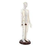 Qianly Modèle D'acupuncture Yin En PVC. Marquages détaillés, Bras et Support Rotatifs. Utilisations Multiples pour L'étude et L'enseignement, Femelle Dure