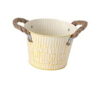 Qianly Pot de Fleurs en Fer avec Poignées pour Jardin, Entrée, Table, Maison, Beige