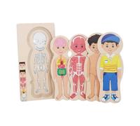 Qianly Puzzle En Bois Représentant Le Corps Humain, Jouet pour Garçons et Filles, Garçon