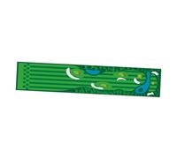 Qianly Tapis de Golf D'Entraînement Tapis de Putting pour Intérieur Tapis de Pratique Portable Tapis D'Entraînement Résistant Dos Antidérapant en Polyester A, Style D