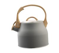 Qianly Théière Sifflante en Acier Inoxydable de 3 litres avec Sifflet Puissant, Gris