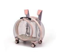 Qianly Transporteur avec Poignée Télescopique Ventilé Transporteur Transparent Robuste Valise pour Chats, Petits Animaux, Vétérinaire, Train, Rose Clair, 1904-2-Entièrement Transparent Rose Clair