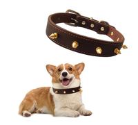 Qianruida Collier pour Chien en Cuir avec Rivets, Collier à Pointe pour Chien et Chat, Anti-Morsure Réglable Individualité Collier pour Taille Moyenne, Pit-Bull, Bulldog Anglais - M