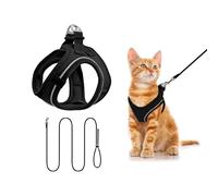 Qianruida Harnais avec Laisse pour Chat, Maille Douce Et Enveloppante, Harnais Réglable Réfléchissante - Idéal pour Promener Les Chatons sans Qu’Ils Ne S’échappent (Noir S)