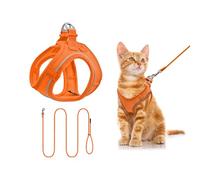 Qianruida Harnais Chien avec Laisse, Harnais Chiot Réglable, Arnet Chien Réfléchissant Doux Facile à Mettre pour Petit Taille Moyenne Chihuahua/Chat/Chaton Courir, Marche(Orange M)