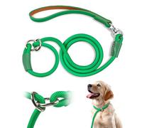 Qianruida Laisse Dressage et Collier 1cm x 150cm Laisse Retriever Laisse Lasso pour Chiens de Toutes Tailles Laisse Coulissante avec Poignée Rembourrée - Vert
