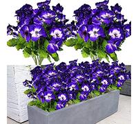 QIANYUN 4 Pcs Fleurs Artificielles Imitation Pensée Fleurs De Soie Creative Ameublement Simulation Plante pour Mariage Maison en Plein Air Cimetière Fête Décoration Taille 40cm (Bleu)
