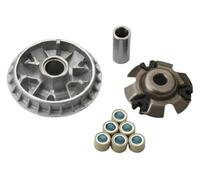 QIAOG Kit variateur avec galets de 20 g, compatible scooters Maxxer300 MXU300 People300S Xciting300 300 cm³ Euro3. Remplace les références 22110-KHE7-900 et 22131-LBA7-900